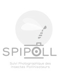 SPIPOLL